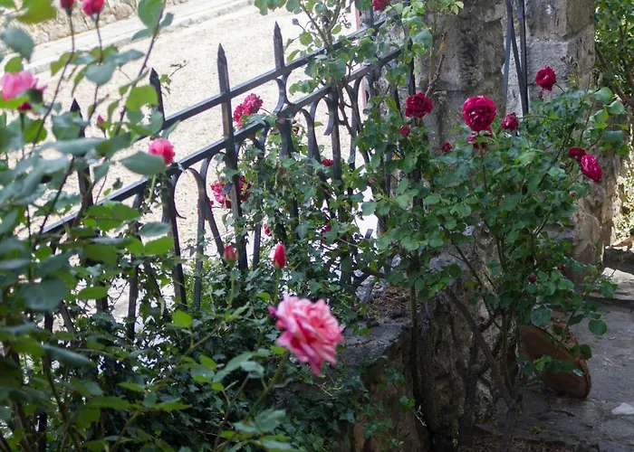 Lantställe El Cedro *